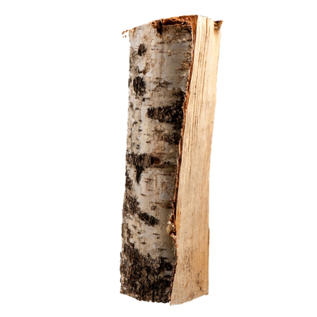 Birke Brennholz kammergetrocknet 23-25 cm – halbe Palette 375 kg